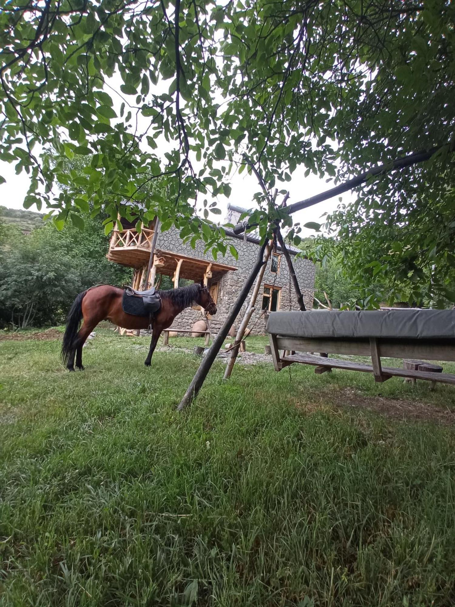 Hors'S Home Экстерьер фото